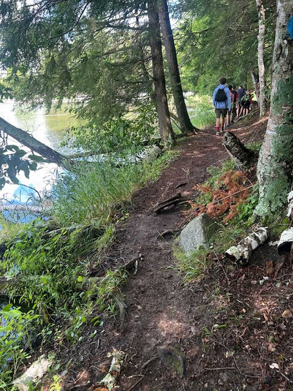 A shot of the Killian shoreline hiking trail
