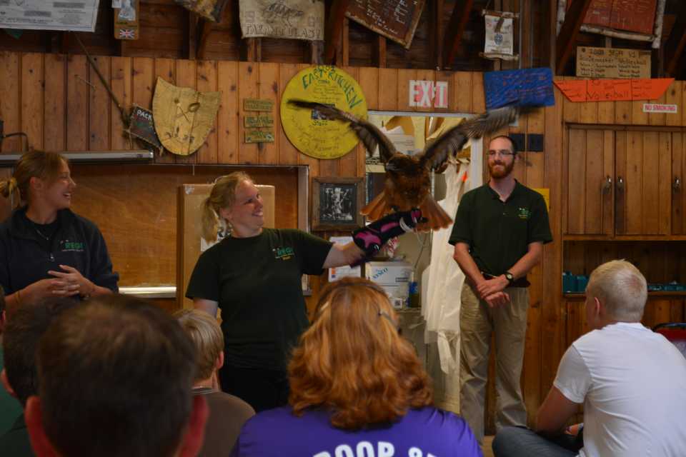 A falconer shows off their bird